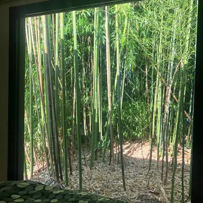Jardin de l'établissement Un petit nid dans la verdure