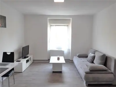 Télévision ou salle de divertissement dans l'établissement Comfort Stay Basel Airport RC46B