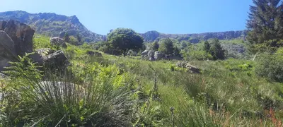 Paysage naturel près de la maison d'hôtes