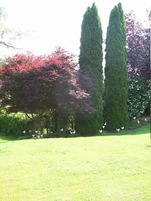 Jardin de l'établissement Gîte de grettery