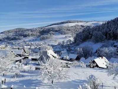 L'établissement Les Locations de Stéphanie ,gîte L'Arbre Vert en hiver