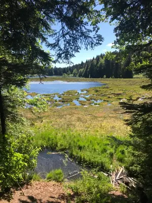 Paysage naturel près de l'appartement
