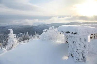 L'établissement Villa le Tramway en hiver