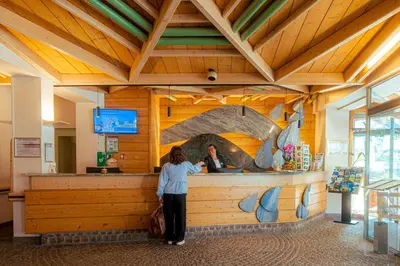 Télévision ou salle de divertissement dans l'établissement Hôtel Les Vallées Labellemontagne