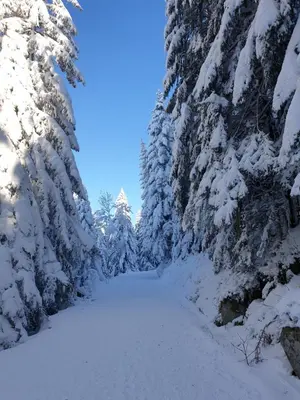 L'établissement Apartement sur les hauteurs de Gerardmer avec une SUPERBE VUE en hiver