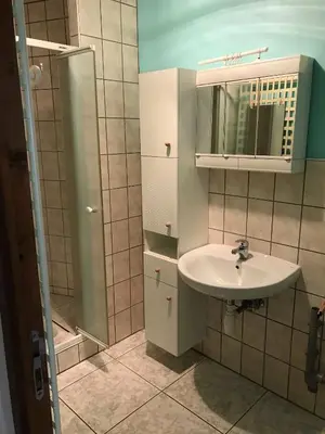 Salle de bains dans l'établissement Appartement à Mitzach