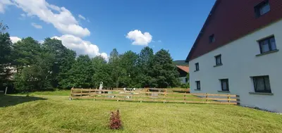 Jardin de l'établissement appart Renard 4 étoiles