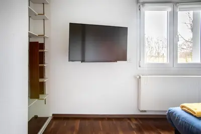 Télévision ou salle de divertissement dans l'établissement ESPLANADE HOME Private SPA Jacuzzi Sauna Parking, Colmar