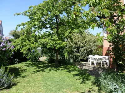 Jardin de l'établissement Gîte Bartsch