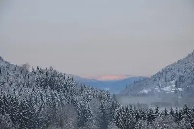 Paysage naturel près de la maison de vacances