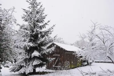 L'établissement Ferme les Iris en hiver