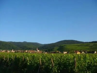 Paysage naturel près de l'appartement