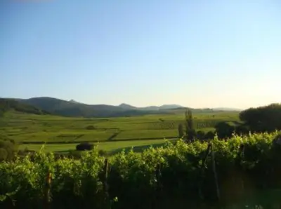 Paysage naturel près de l'appartement