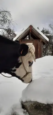 L'établissement Aux 3 marteaux en hiver