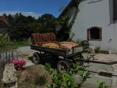 Jardin de l'établissement Aux 3 marteaux