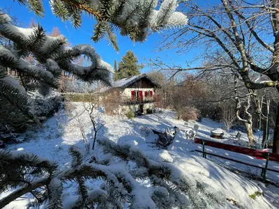 L'établissement Chalet les airelles -chalet cosy près de colmar dans les vosges en hiver