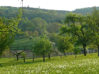 Paysage naturel près de la maison d'hôtes