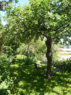 Jardin de l'établissement La Pomme de Pin