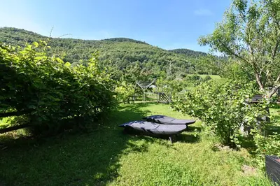 Paysage naturel près de la maison de vacances