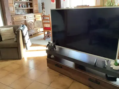 Télévision ou salle de divertissement dans l'établissement Le chouette gîte