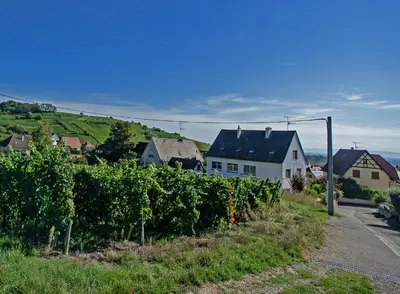 Paysage naturel près de l'appartement
