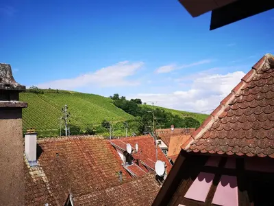 Paysage naturel près de le B&B/chambre d'hôtes