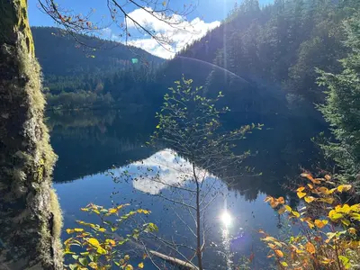 Paysage naturel près de l'appartement