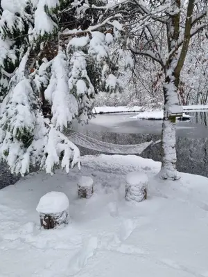 L'établissement Insolite Tiny House Sérénité Bien Être en hiver