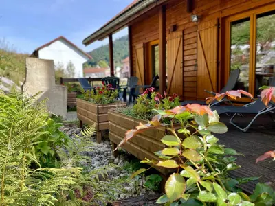 Jardin de l'établissement Chalet Des Feignes