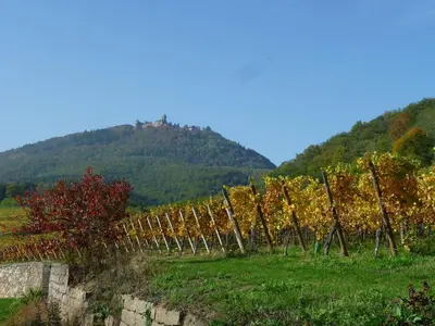 Vue générale sur la montagne ou vue sur la montagne depuis l'appartement