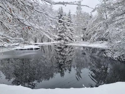 L'établissement Insolite Chalet de pêche Sérénité - Bien Etre en hiver