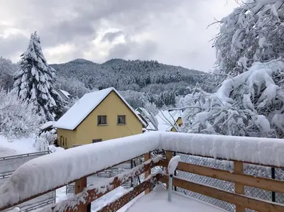 L'établissement Gîte exceptionnel a Soultzbach les bains en hiver