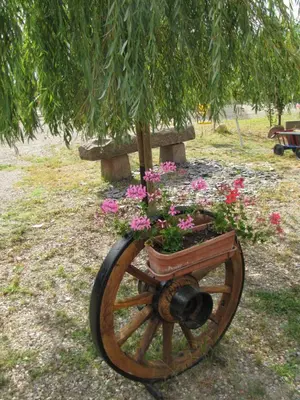 Jardin de l'établissement Les Jardins de Lo're'an