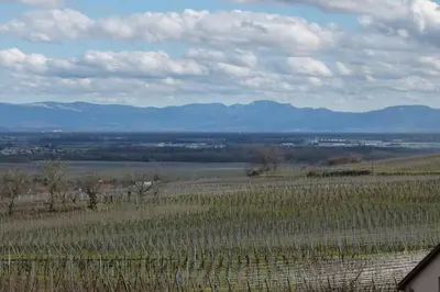 Paysage naturel près de l'appartement