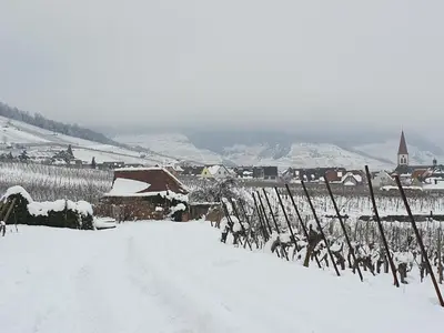 L'établissement Gîte des Seigneurs en hiver