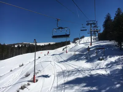 L'établissement Le Chellois appartement La Bresse en hiver