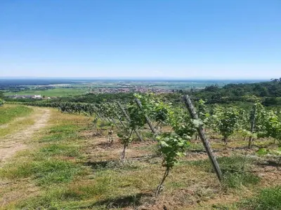 Paysage naturel près de l'appartement