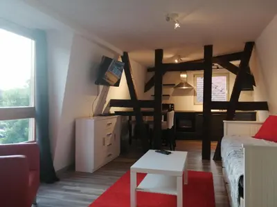 Télévision ou salle de divertissement dans l'établissement Magnifique gîte plein centre de Sélestat
