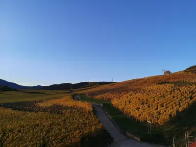 Paysage naturel près de l'appartement