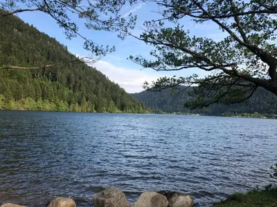 Paysage naturel près de le chalet
