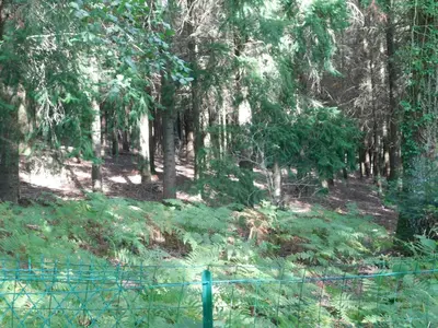 Jardin de l'établissement L'AMANDAURE