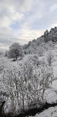 L'établissement Appartement douillet avec vue sur les montagnes en hiver