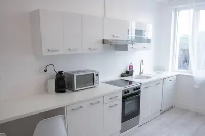 Cuisine ou kitchenette dans l'établissement Le natural'appart des 3 frontières