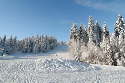 L'établissement Le petit vosgien en hiver