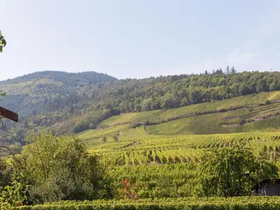 Paysage naturel près de l'appartement
