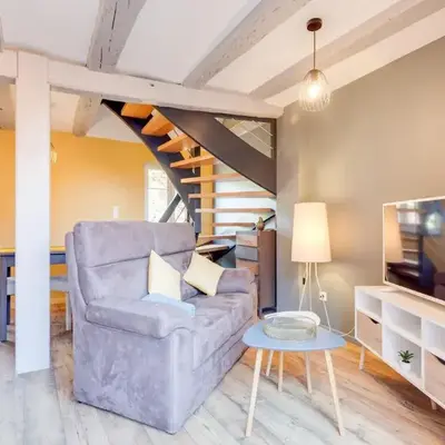 Apartment in Alsace near Haut-Koenigsbourg