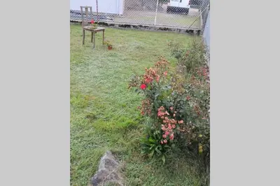 Jardin de l'établissement Maison indépend. 6 personnes à 10 mn de Gérardmer