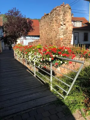 Jardin de l'établissement Chambre spacieuse dans joli village alsacien