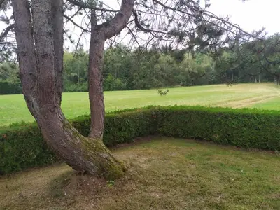 Jardin de l'établissement Chalet du Spièmont