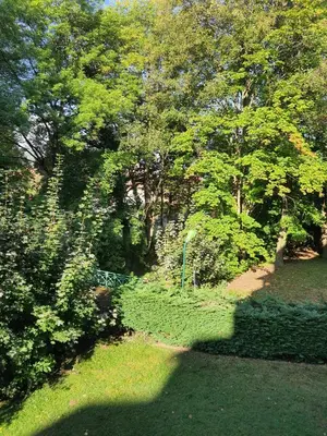 Jardin de l'établissement Happy family's nest